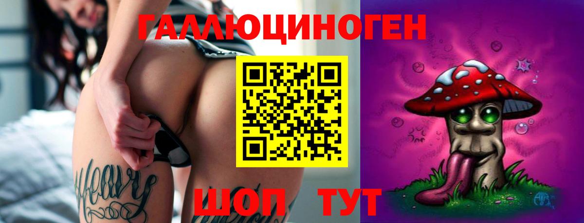 Галлюциногенные грибы Psilocybine cubensis  Вход с VPN  Галлюциногенные грибы Cubensis  Амурск 